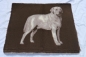Preview: NEU Iso-Bed Labrador