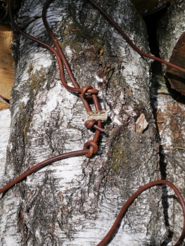 lautlose Jagdleine mit verstellbarem Überwurf