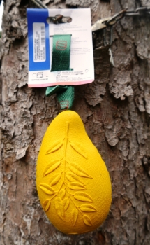 HS Sprenger Mango