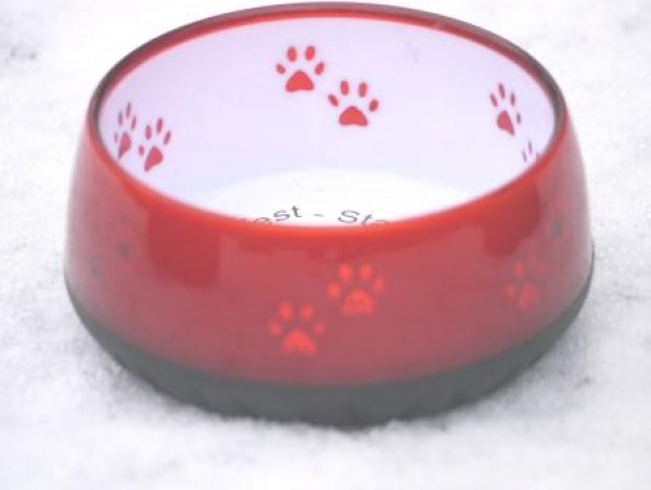 Futternapf / Wassernapf rot mit Pfoten