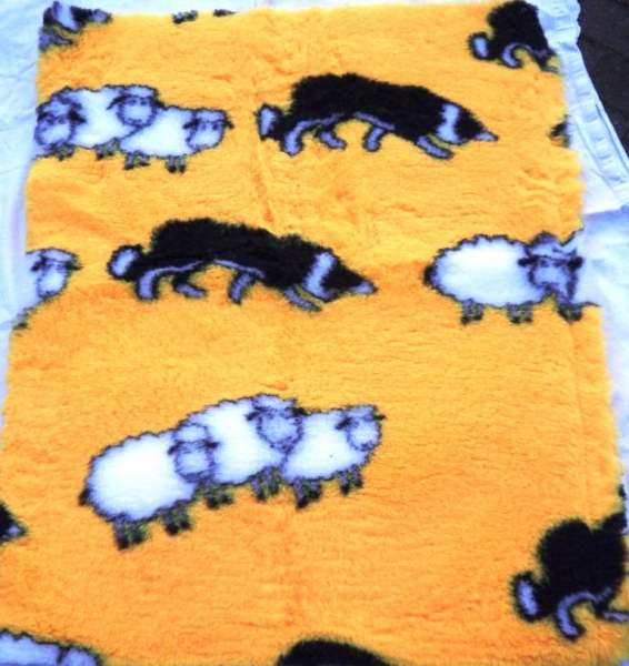 NEU Iso-Bed Border Collie mit Schafen
